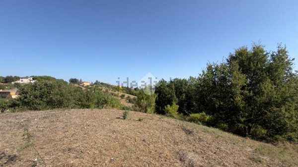 terreno agricolo in vendita a Morlupo