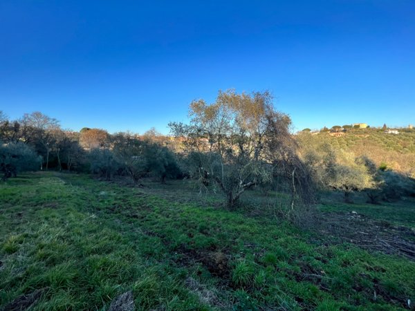 terreno in vendita a Morlupo