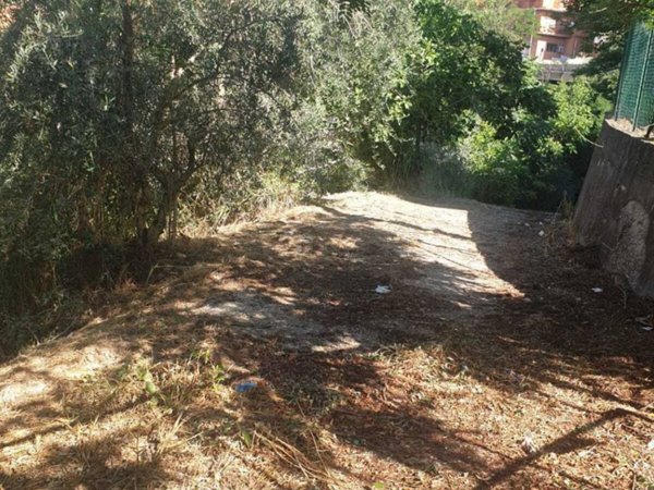 terreno agricolo in vendita a Morlupo