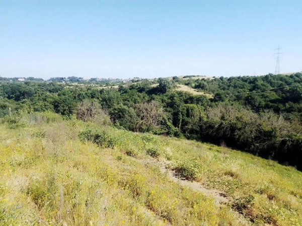 terreno agricolo in vendita a Morlupo