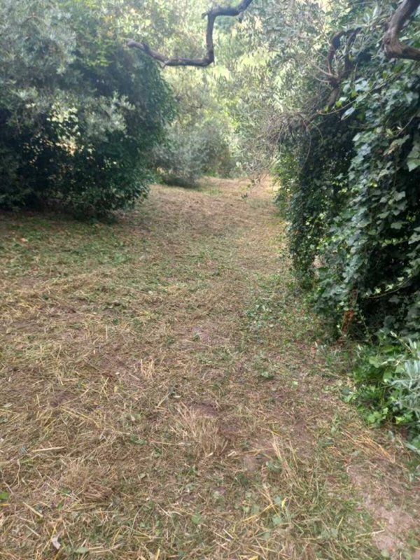 terreno agricolo in vendita a Morlupo