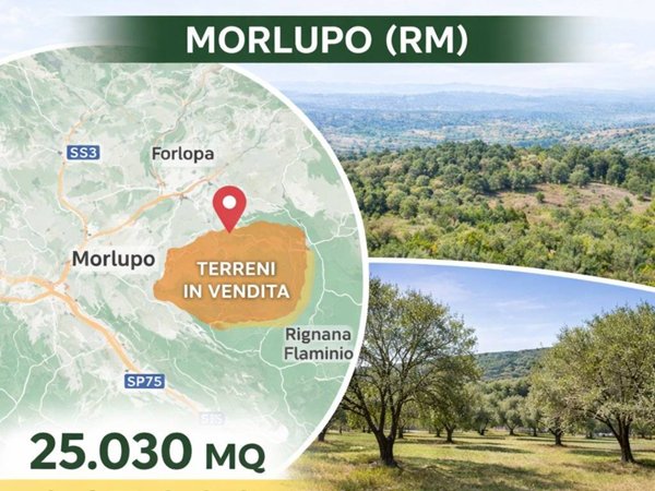 terreno in vendita a Morlupo