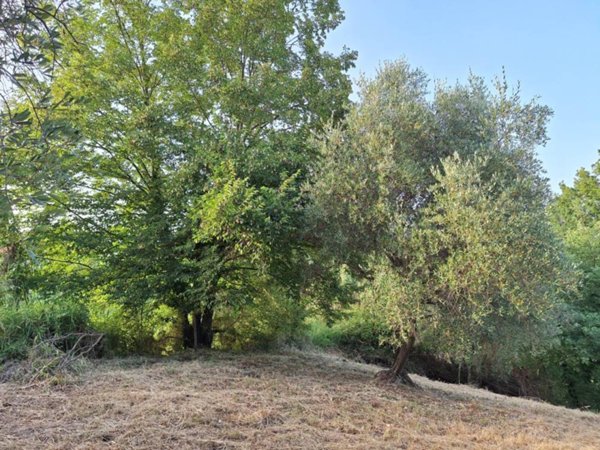 terreno in vendita a Morlupo