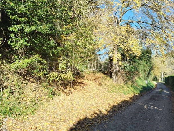 terreno agricolo in vendita a Nazzano