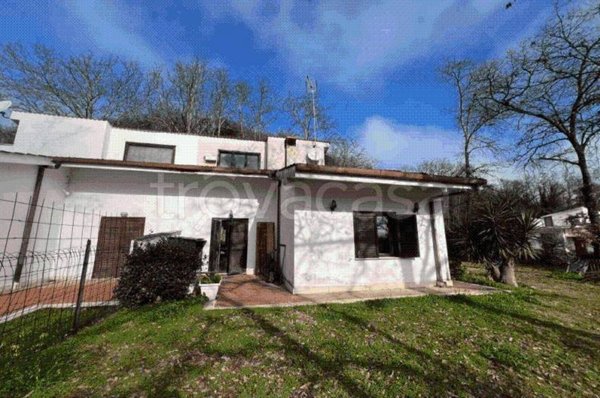 casa indipendente in vendita a Nazzano