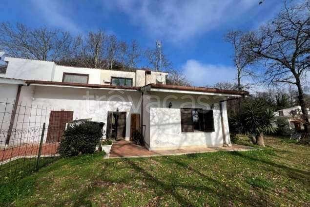 casa indipendente in vendita a Nazzano