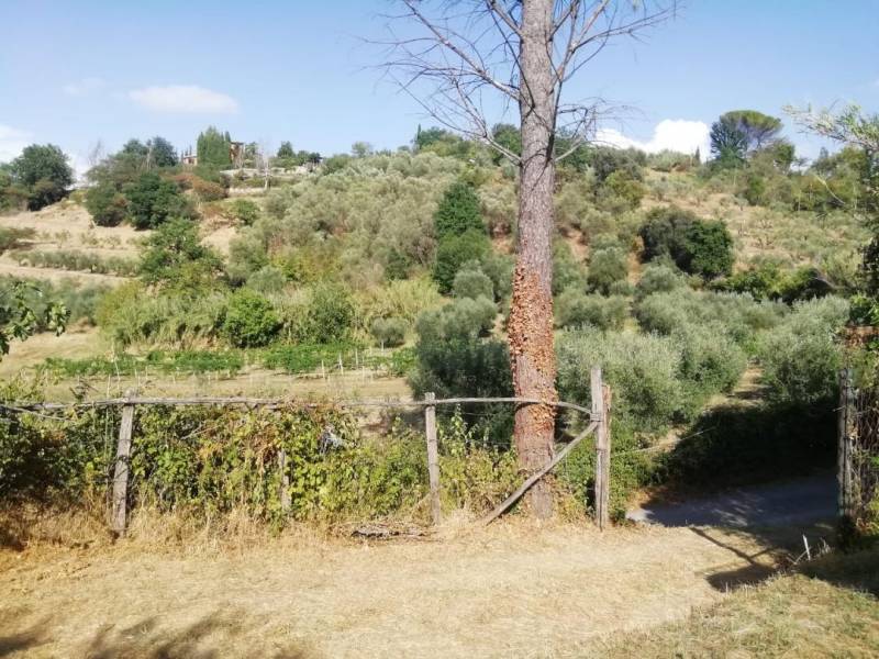 terreno agricolo in vendita a Nazzano
