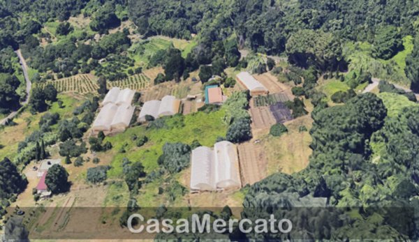 casa indipendente in vendita a Nemi