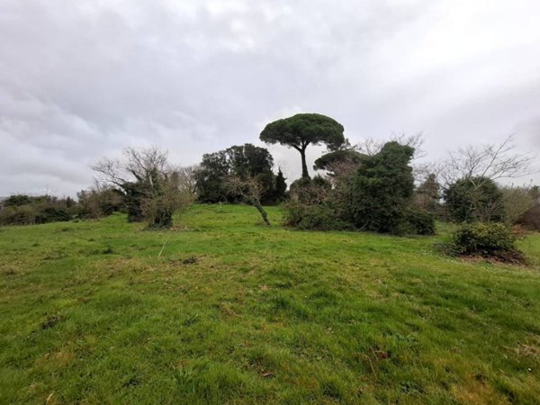 casale in vendita a Nemi