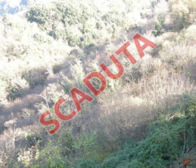 terreno agricolo in vendita a Nemi