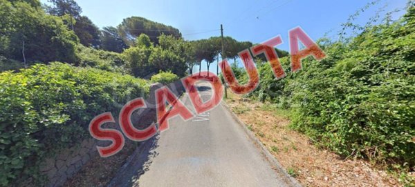 terreno agricolo in vendita a Nemi