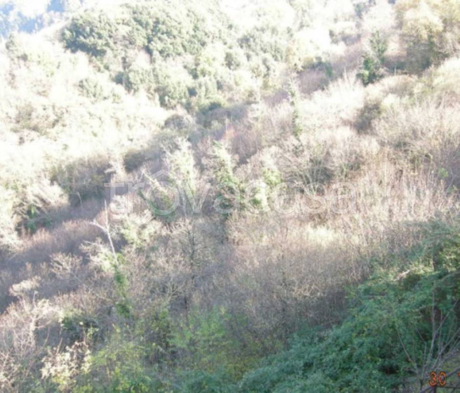 terreno agricolo in vendita a Nemi