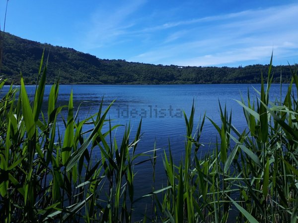 terreno agricolo in vendita a Nemi