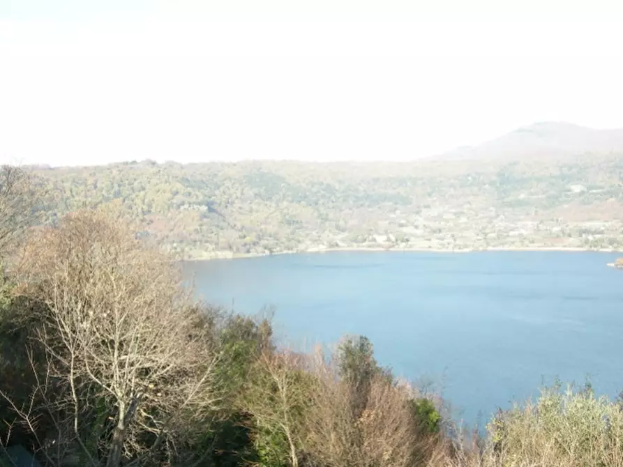 terreno agricolo in vendita a Nemi