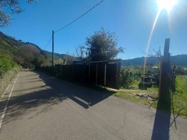 terreno agricolo in vendita a Nemi