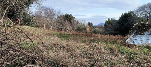 terreno in vendita a Nemi in zona Parco dei Lecci