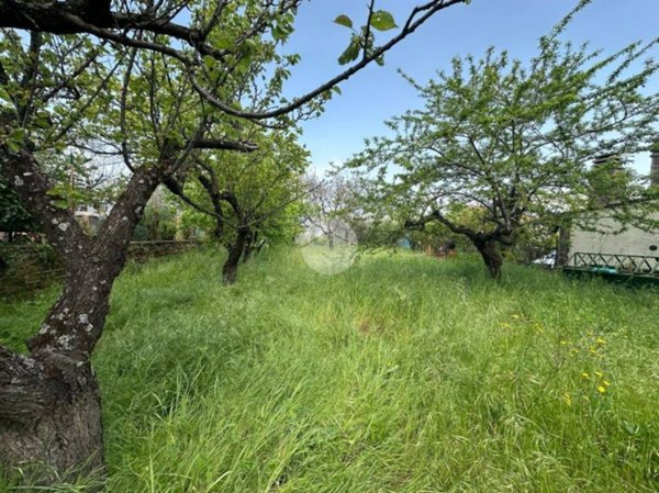 terreno agricolo in vendita a Nerola in zona Acquaviva
