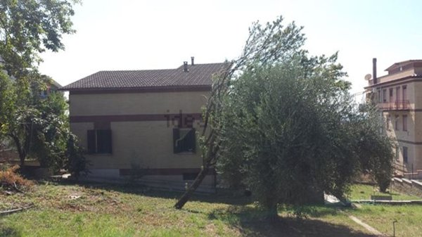 casa indipendente in vendita a Nerola in zona Acquaviva