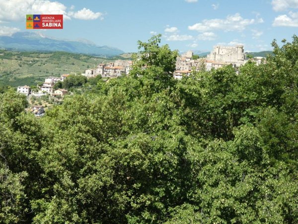 casa indipendente in vendita a Nerola in zona Acquaviva