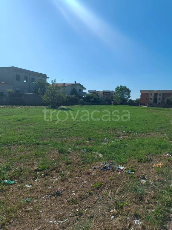 terreno agricolo in vendita a Nettuno