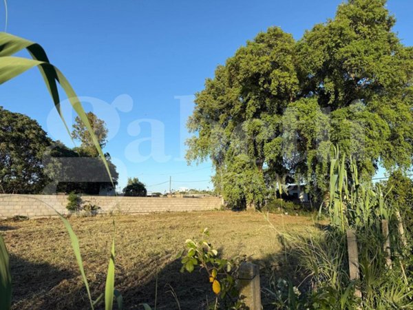 terreno agricolo in vendita a Nettuno