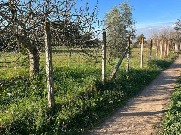 terreno edificabile in vendita a Nettuno