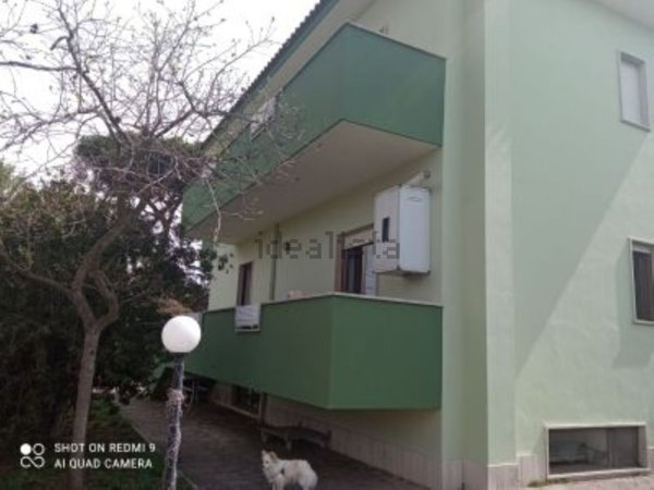 appartamento in vendita a Nettuno