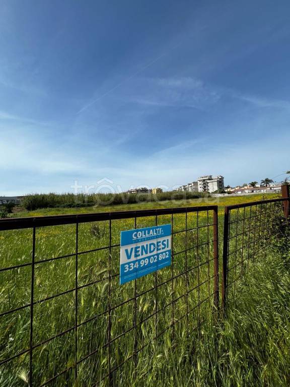 terreno agricolo in vendita a Nettuno