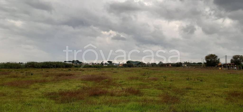 terreno agricolo in vendita a Nettuno