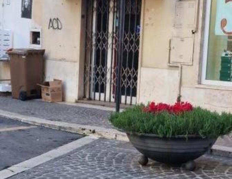 negozio in vendita a Nettuno