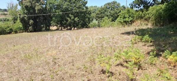 terreno agricolo in vendita a Nettuno