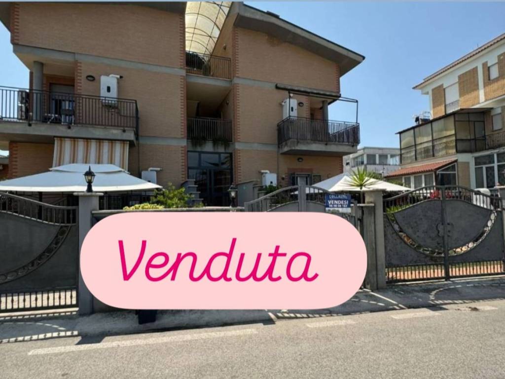 appartamento in vendita a Nettuno