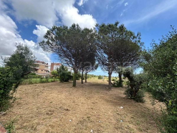 terreno agricolo in vendita a Nettuno