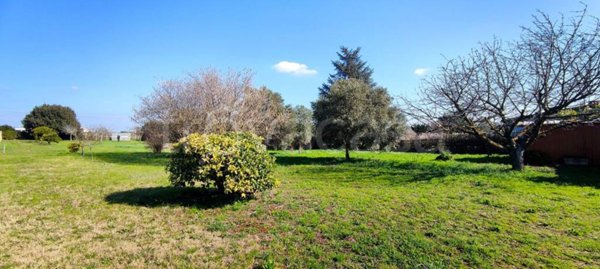 terreno agricolo in vendita a Nettuno