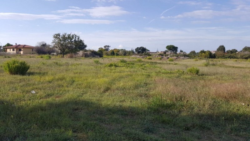 terreno agricolo in vendita a Nettuno