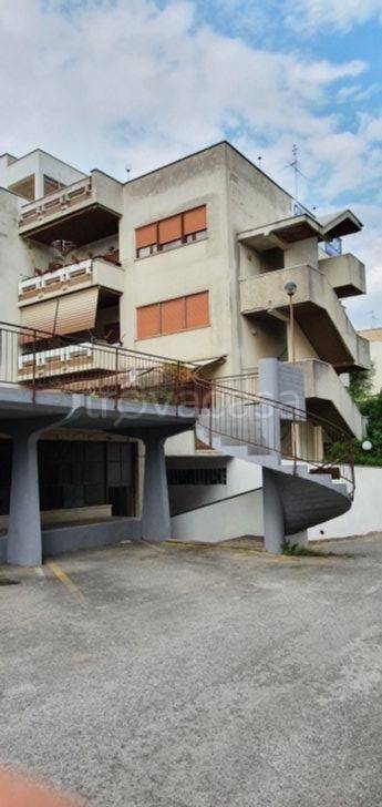 appartamento in vendita a Nettuno