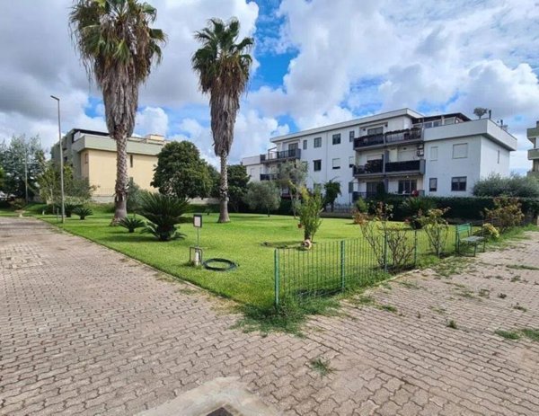 appartamento in vendita a Nettuno