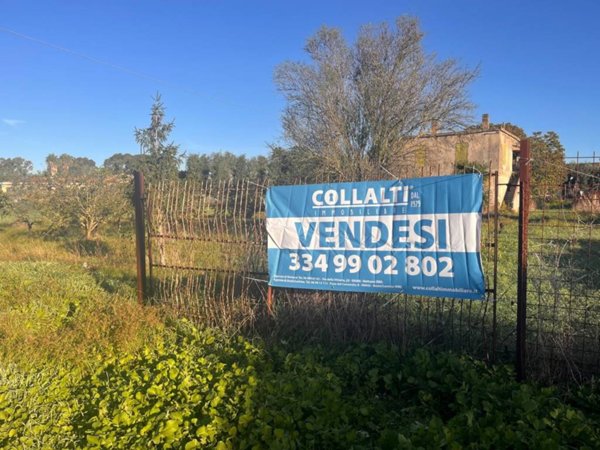 terreno agricolo in vendita a Nettuno