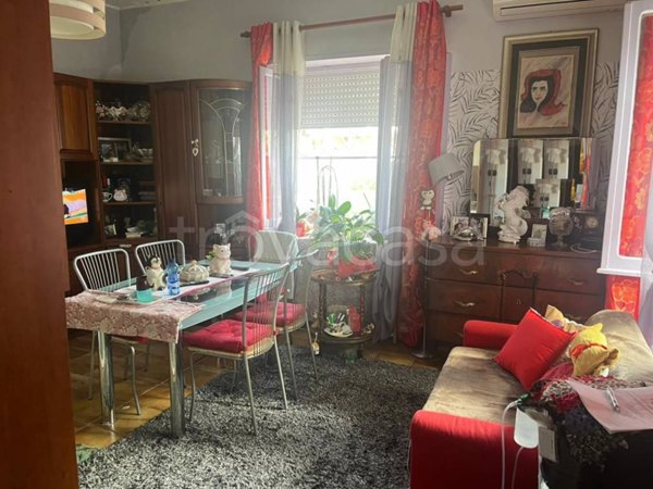 appartamento in vendita a Nettuno