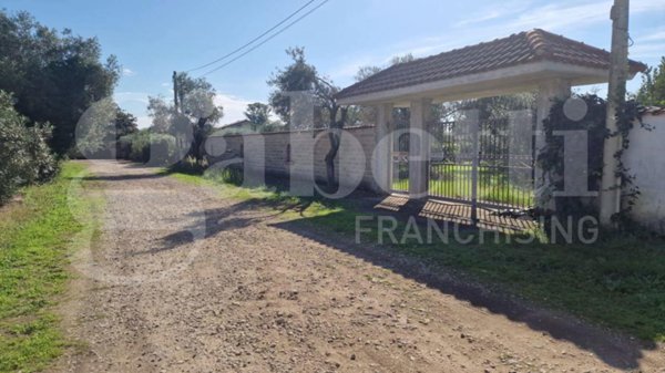 terreno agricolo in vendita a Nettuno
