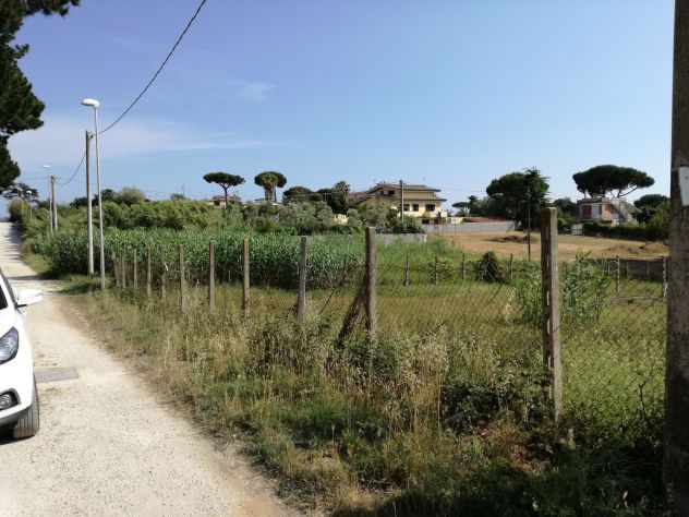 terreno agricolo in vendita a Nettuno