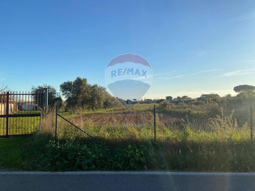 terreno edificabile in vendita a Nettuno