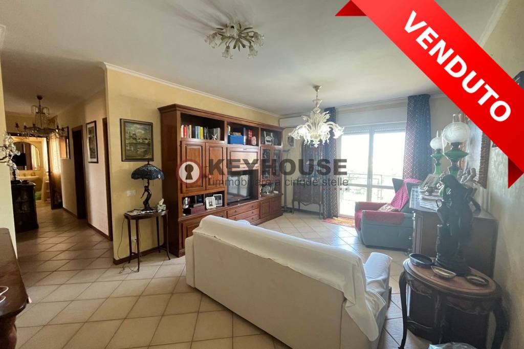 immagine annuncio 0 di 15