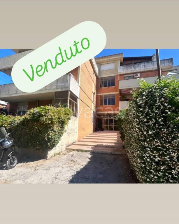 appartamento in vendita a Nettuno