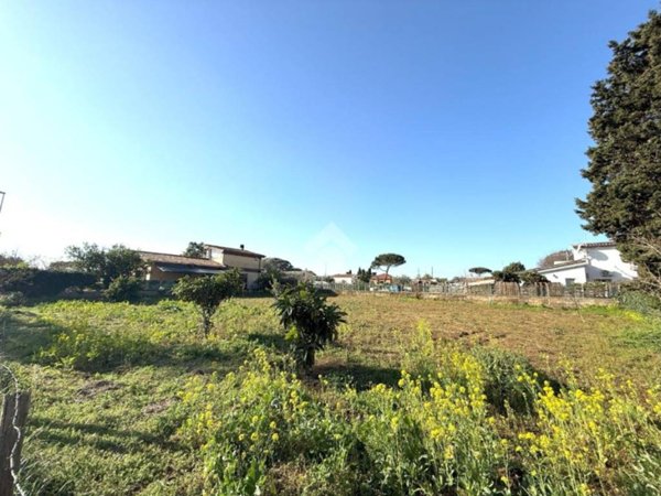 terreno agricolo in vendita a Nettuno
