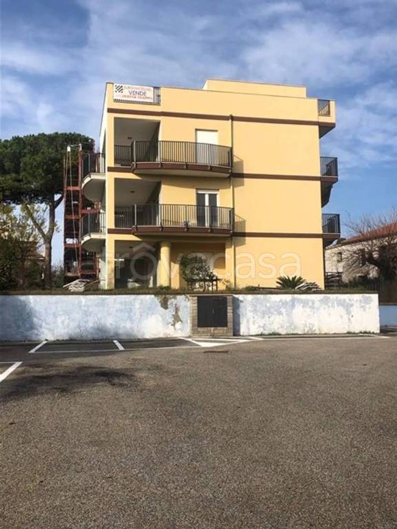 appartamento in vendita a Nettuno