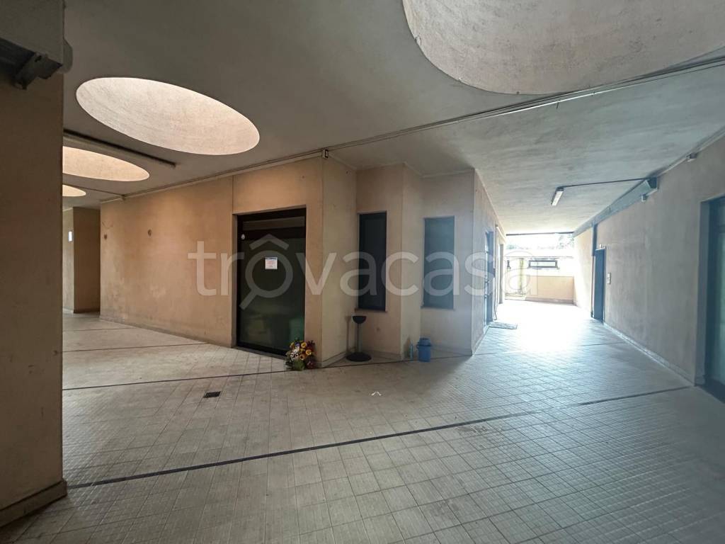 quadrivano in vendita a Nettuno