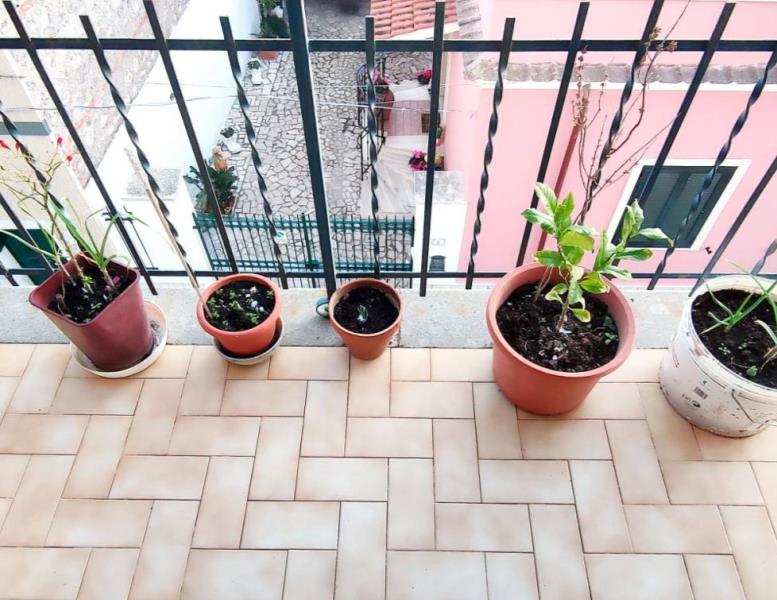 appartamento in vendita a Nettuno