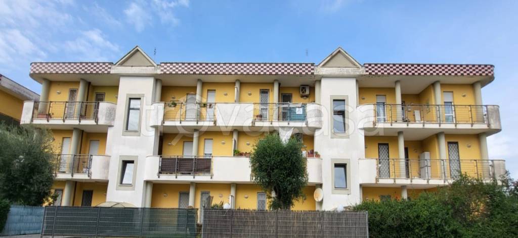 appartamento in vendita a Nettuno
