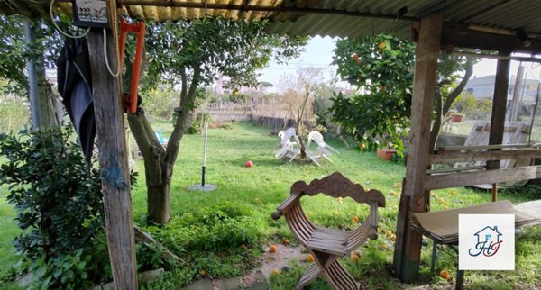 negozio in vendita a Nettuno
